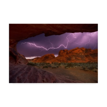 Darren White Photography 'Desert Storm' Canvas Art,12x19